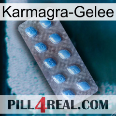 Karmagra Jelly viagra3